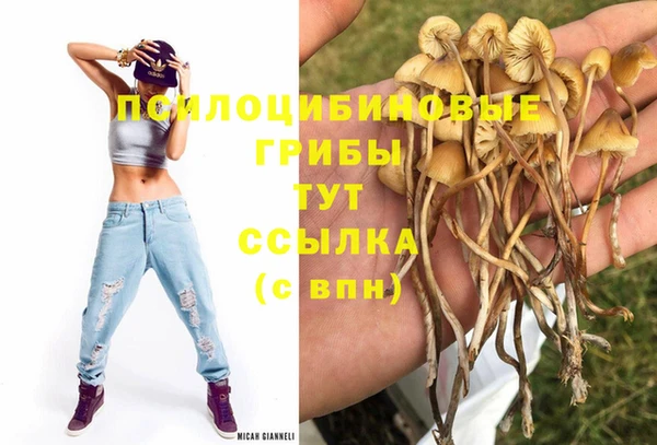 индика Вязники