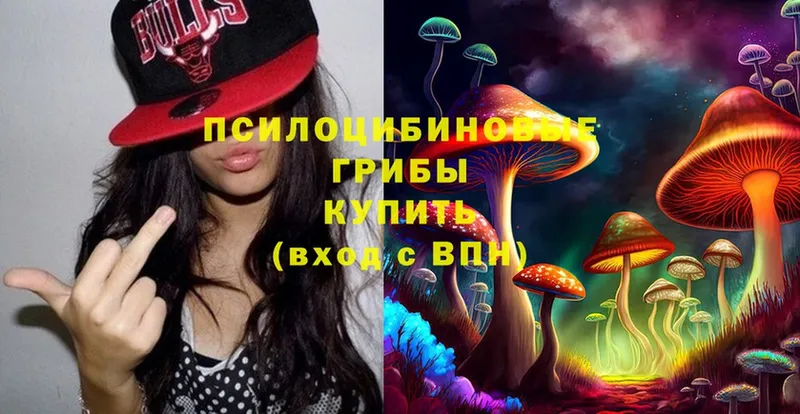 Псилоцибиновые грибы Psilocybe  купить наркоту  kraken как войти  Новозыбков 